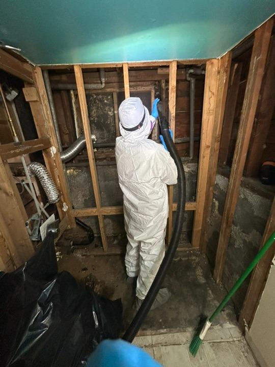 Mold remediation