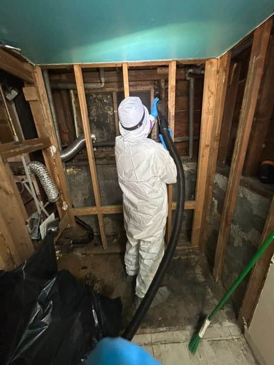 Mold remediation