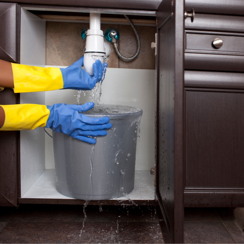 NuBilt restoration team serving Wheat Ridge